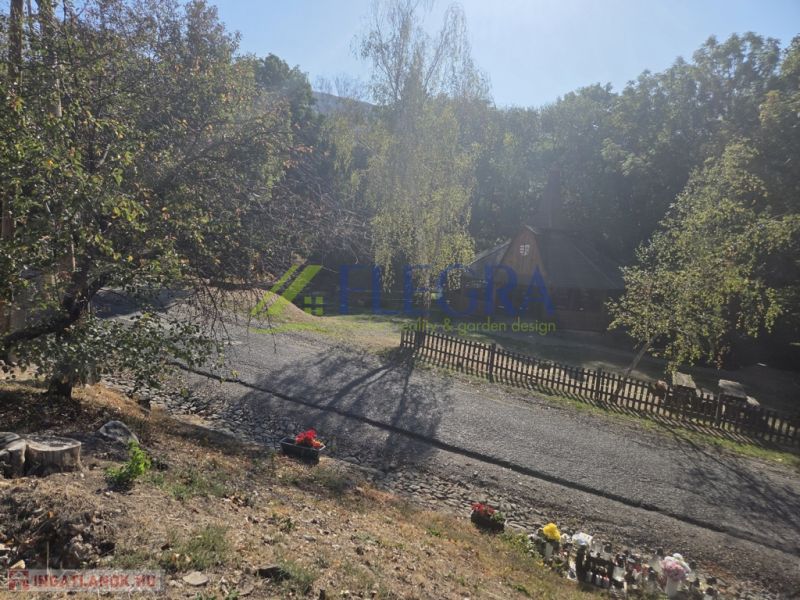 A peaceful exterior of a family house in Hejce with a landscaped garden and a paved road.
