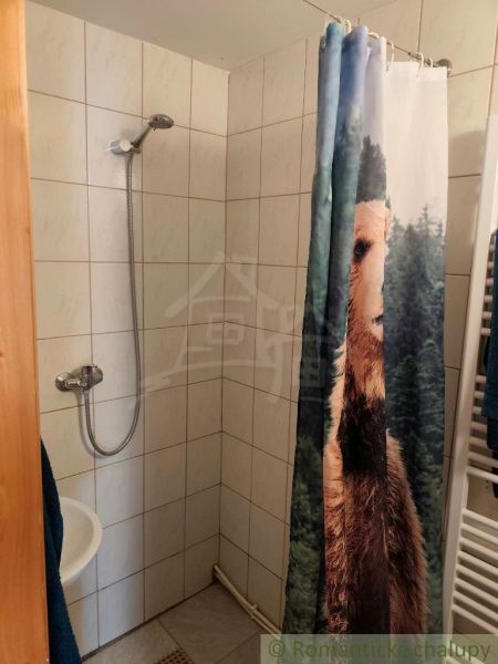 A shower corner in a cabin with an original curtain depicting a bear.