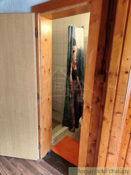 Bathroom in a cabin with a wooden door frame and an orange rug.