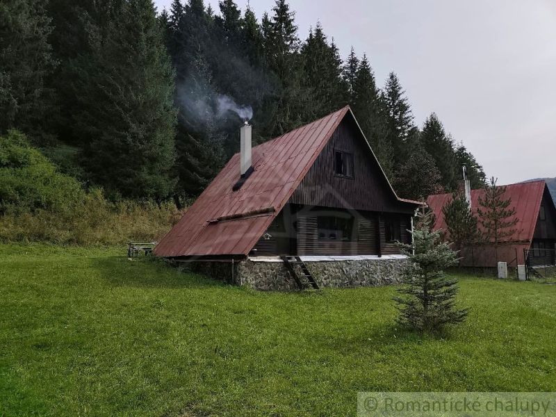 A cottage in Rajecká Lesná with a metal roof and a garden in the middle of the forest.