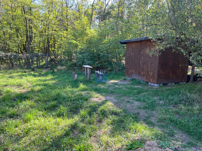 Gardens in Kopčany with a natural shelter surrounded by trees and greenery.