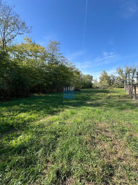 Gardens in Kopčany with extensive lawns, surrounded by trees under a blue sky.