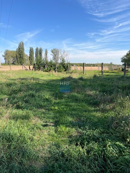 A grassy area with trees and fencing in the gardens of Kopčany under a blue sky.