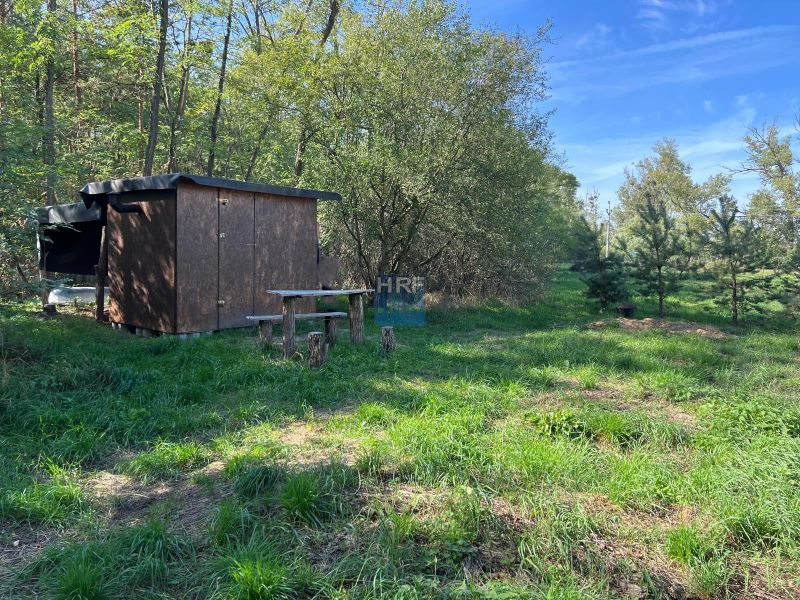 Gardens in Kopčany with a wooden shelter surrounded by trees and green grass.