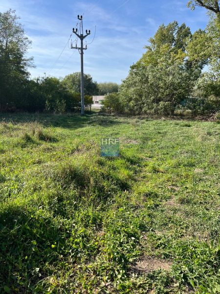An electric pole in the middle of a green garden in Kopčany, surrounded by lush vegetation.