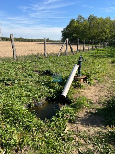A pump with greenery in the gardens in Kopčany, rural landscape in the background.