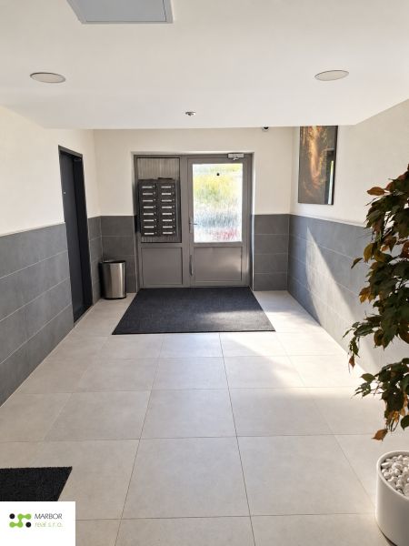 Entrance hallway with gray tiles and a plant in a 3-room apartment.