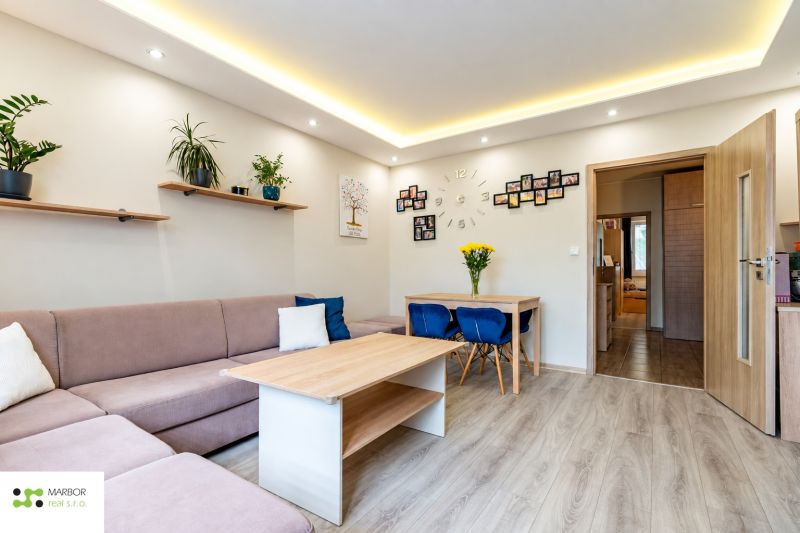 Living room in a 3-room apartment with a sofa, table, and wooden decor flooring.