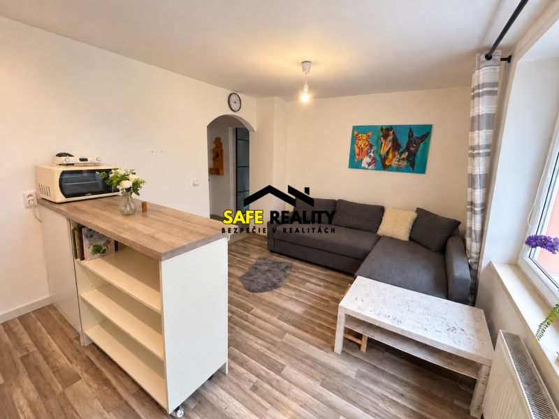 Living room in a one-bedroom apartment with a wooden decor floor and a comfortable sofa.