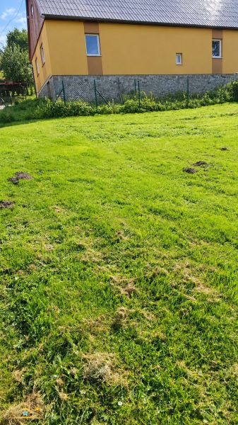 A grassy plot next to a family house in Košariská in Oščadnica, along the fence.