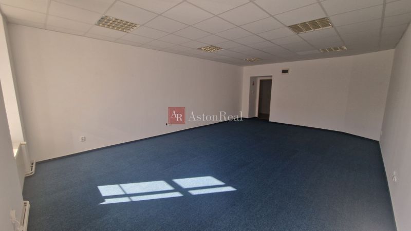 Offices with blue carpet, white walls, and ceiling lights.