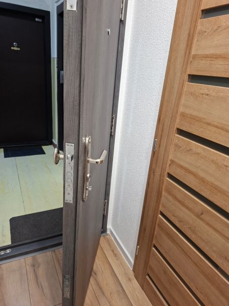 Entrance door with metal fittings in a 1-room apartment, floor with wooden decor.