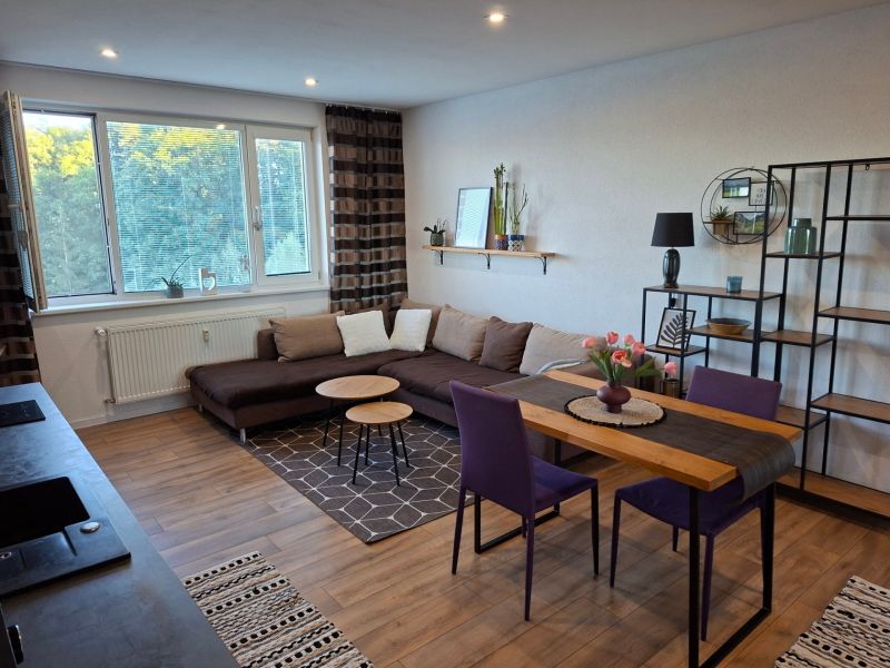 Living room with wood-patterned flooring, a sofa, and a dining table in a studio apartment.