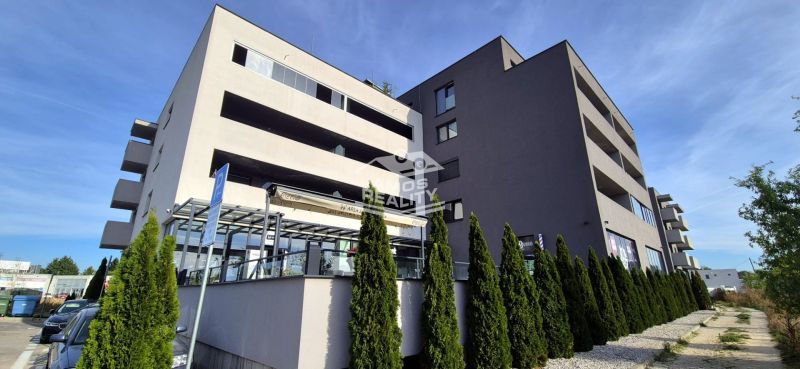 A building with a 2-room apartment on Javorova Street in Malacky surrounded by dense vegetation.