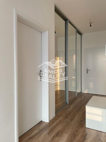 Entrance hallway of a 2-room apartment with a wooden decor floor and a mirrored wardrobe.