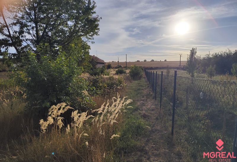 Sunny plots in Jasová with grassy areas and trees, next to the fence.