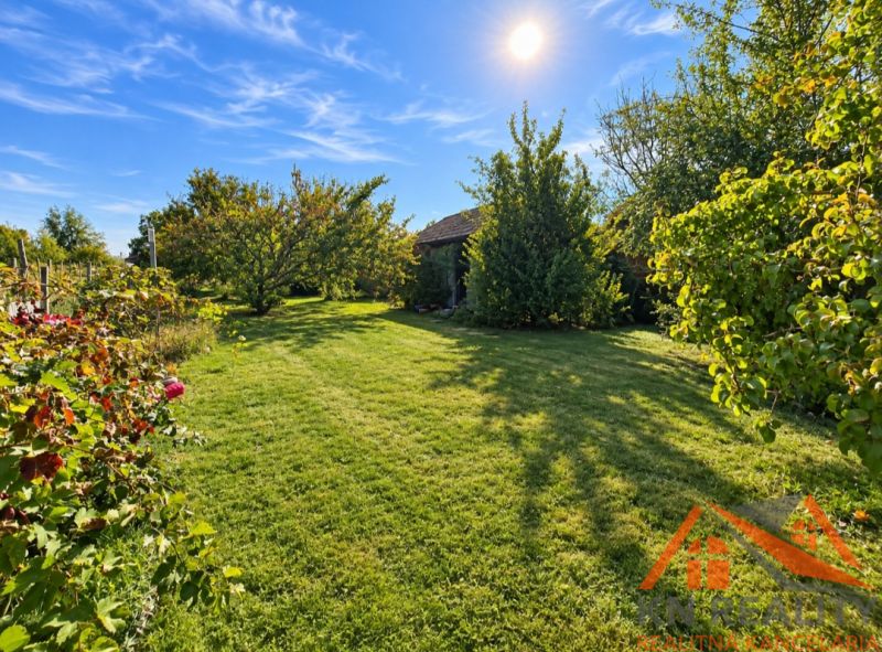 The garden of a family house in Martovce with a lawn, trees, and sunny weather.