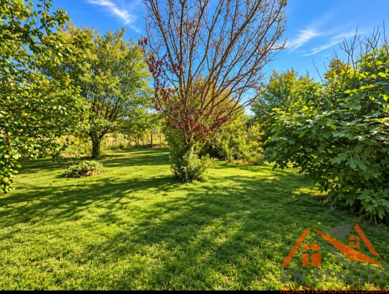 The garden of a family house in Martovce with lush vegetation and a clear sky.