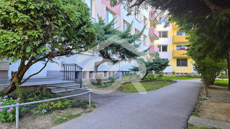 A path surrounded by greenery and trees near a studio apartment on Dlhá Street in Nitra - Chrenová.