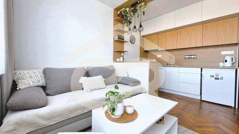 Studio apartment with a kitchen, sofa, shelves, and a wooden decor floor.