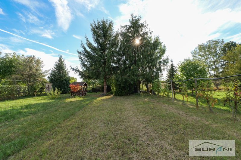 The garden of the family house on Hlavná Street in Štefanová, with large coniferous trees and a gazebo.