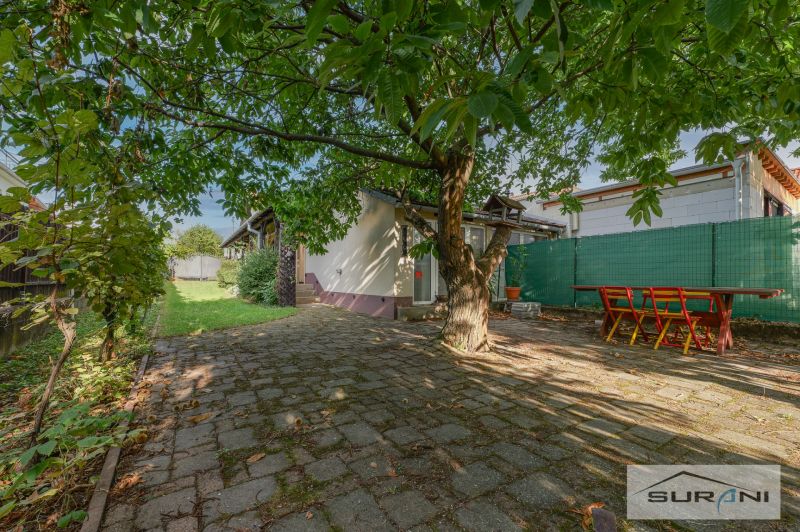 A family house on Hlavná Street in Štefanová surrounded by a green yard with a large tree.