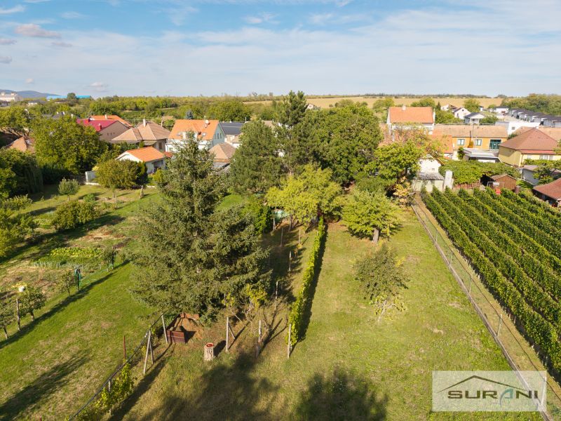 A family house in Štefanová on Hlavná Street surrounded by gardens and vineyards.