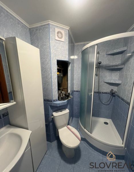 A bathroom in a studio apartment with blue tiles, a shower corner, and a toilet.