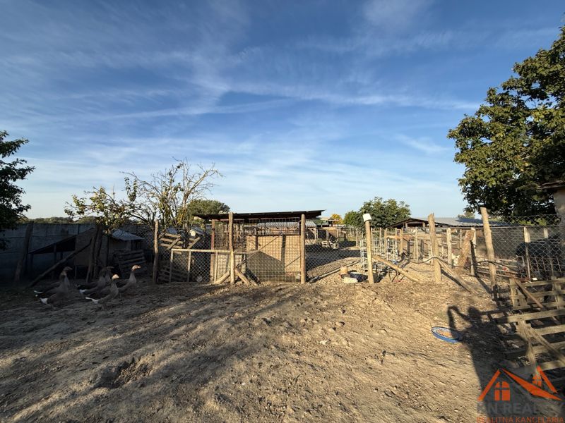 The courtyard of a family house in Komárno with ducks and a fence under the blue sky.