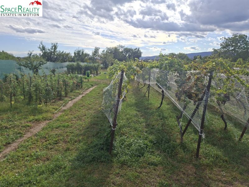 A vineyard in the village of Viničné on Hlavná Street, designated for residential use.