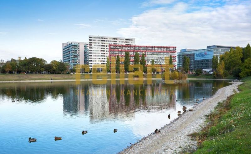 Buildings and a lake with ducks on Tomášikova Street in Bratislava - Nové Mesto.