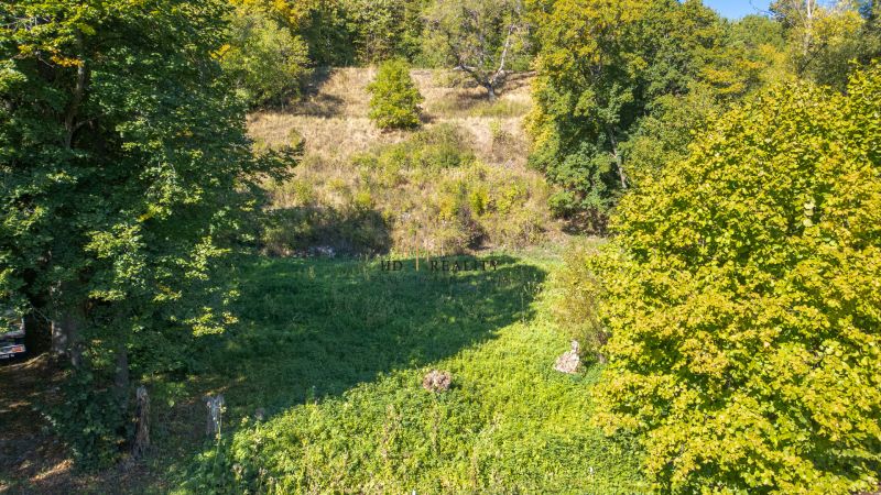 Greenery and trees on recreational lands in Štiavnické Bane under the autumn sun.