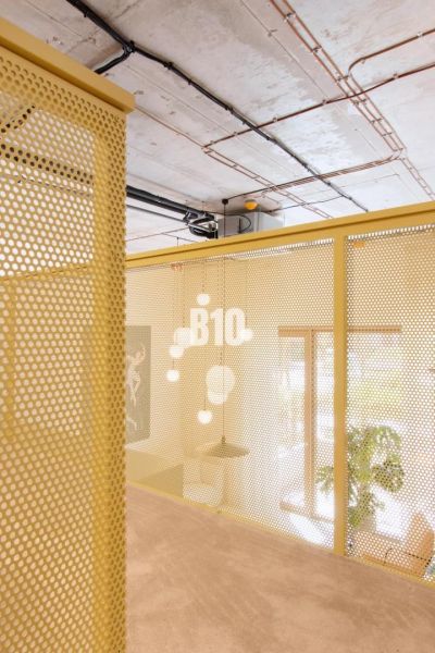 Perforated metal wall in a 2-room apartment with a view of a lamp and a plant.