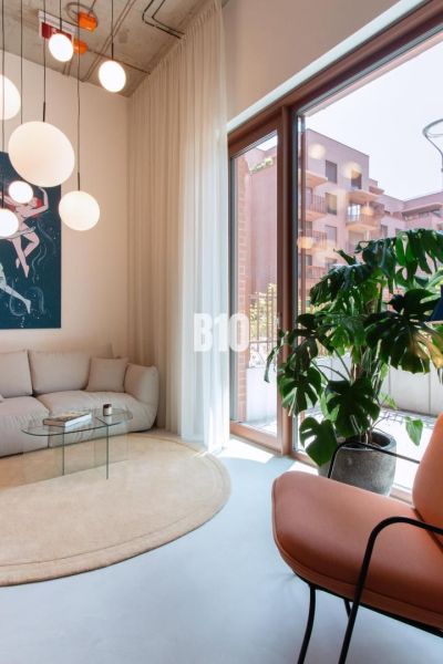Living room in a two-room apartment with a sofa, an armchair, and a houseplant.