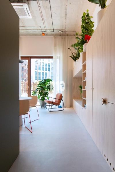 A bright interior of a 2-room apartment with plants, a comfortable armchair, and shelves.