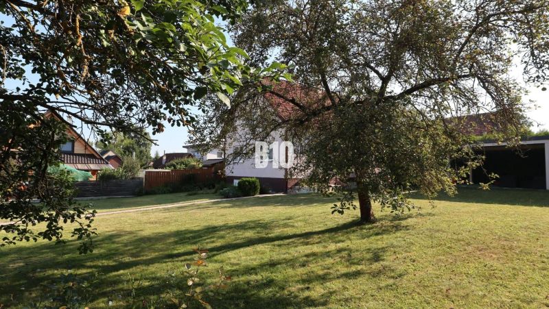 A family house in Žilina with a large garden, lawn, and fruit trees.