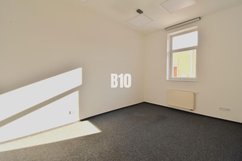 Office interior with carpet and window, view of a wall and radiator.