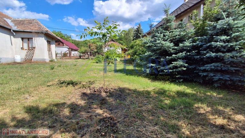 A family house in Abaújkér with a spacious garden, a young tree, and conifers under a blue sky.