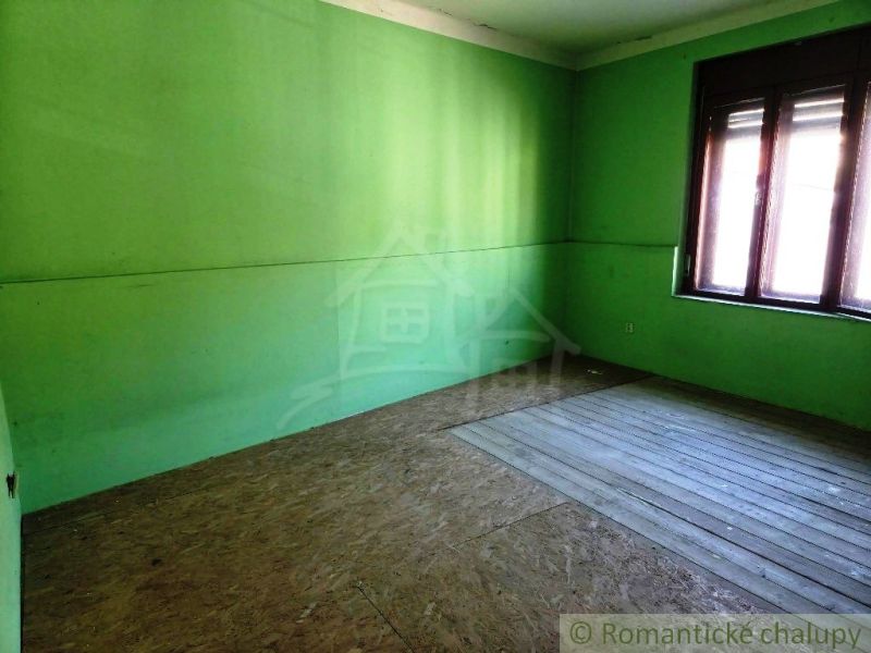 Green walls and a wooden decor floor in commercial spaces.