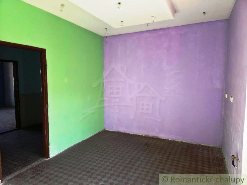 Purple and green wall in commercial space with wood-patterned flooring.