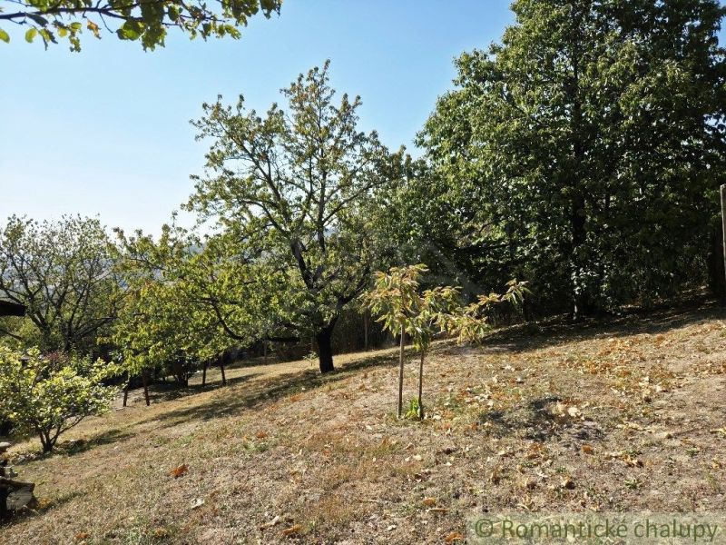 The garden by the cottage in Modrý Kameň with fruit trees on a sloping terrain.