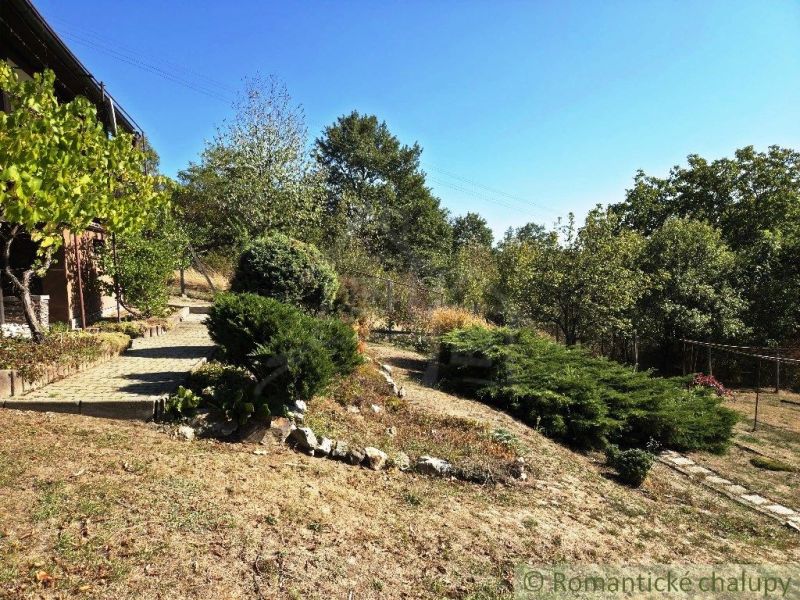 A garden by the cottage surrounded by greenery in Modrý Kameň under the blue sky.
