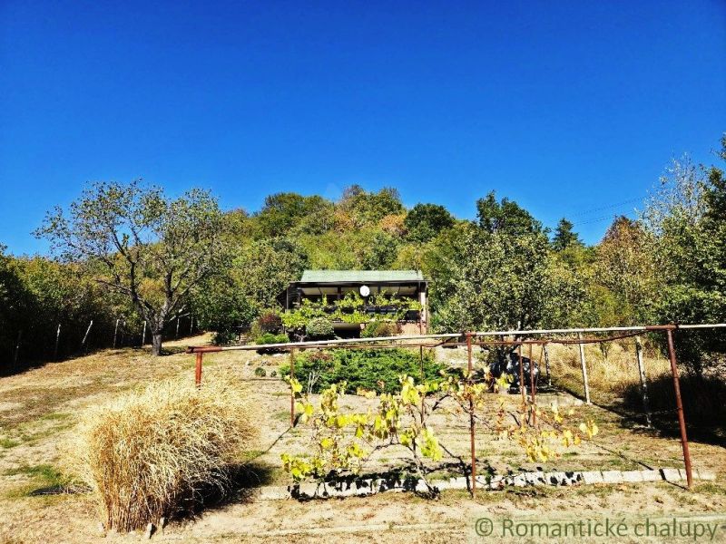 A cottage in Modrý Kameň surrounded by trees, vineyards, and a clear blue sky.