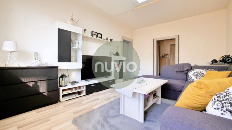 Living room in a two-room apartment with a sofa, decorations, and a wooden decor floor.