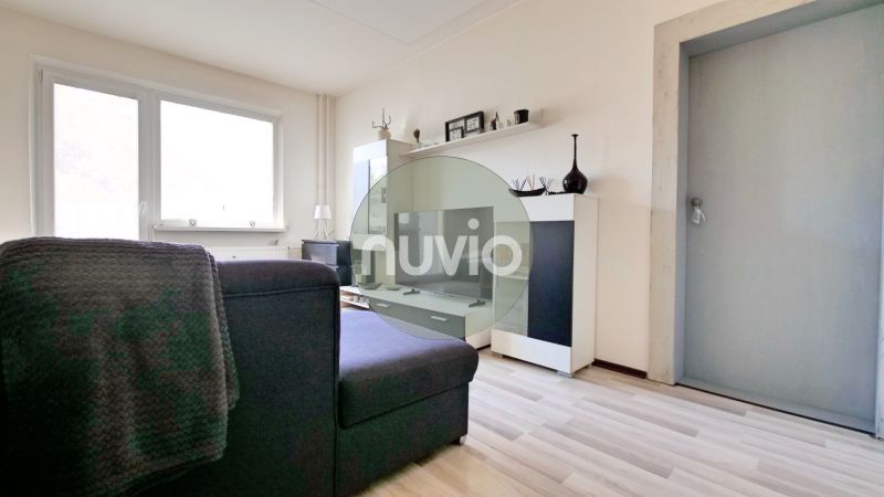 A view into the living room with a wooden decor floor in a 2-room apartment.