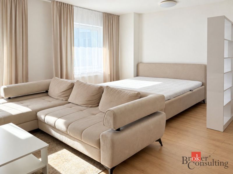Living space with a sofa, bed, and wood-decor floor in a studio apartment.